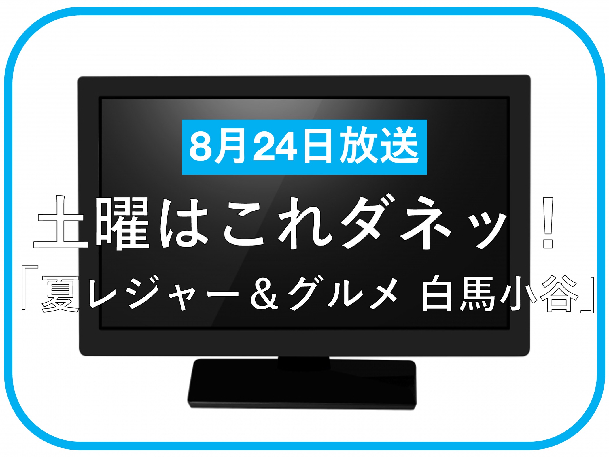 土曜日はこれダネッ！