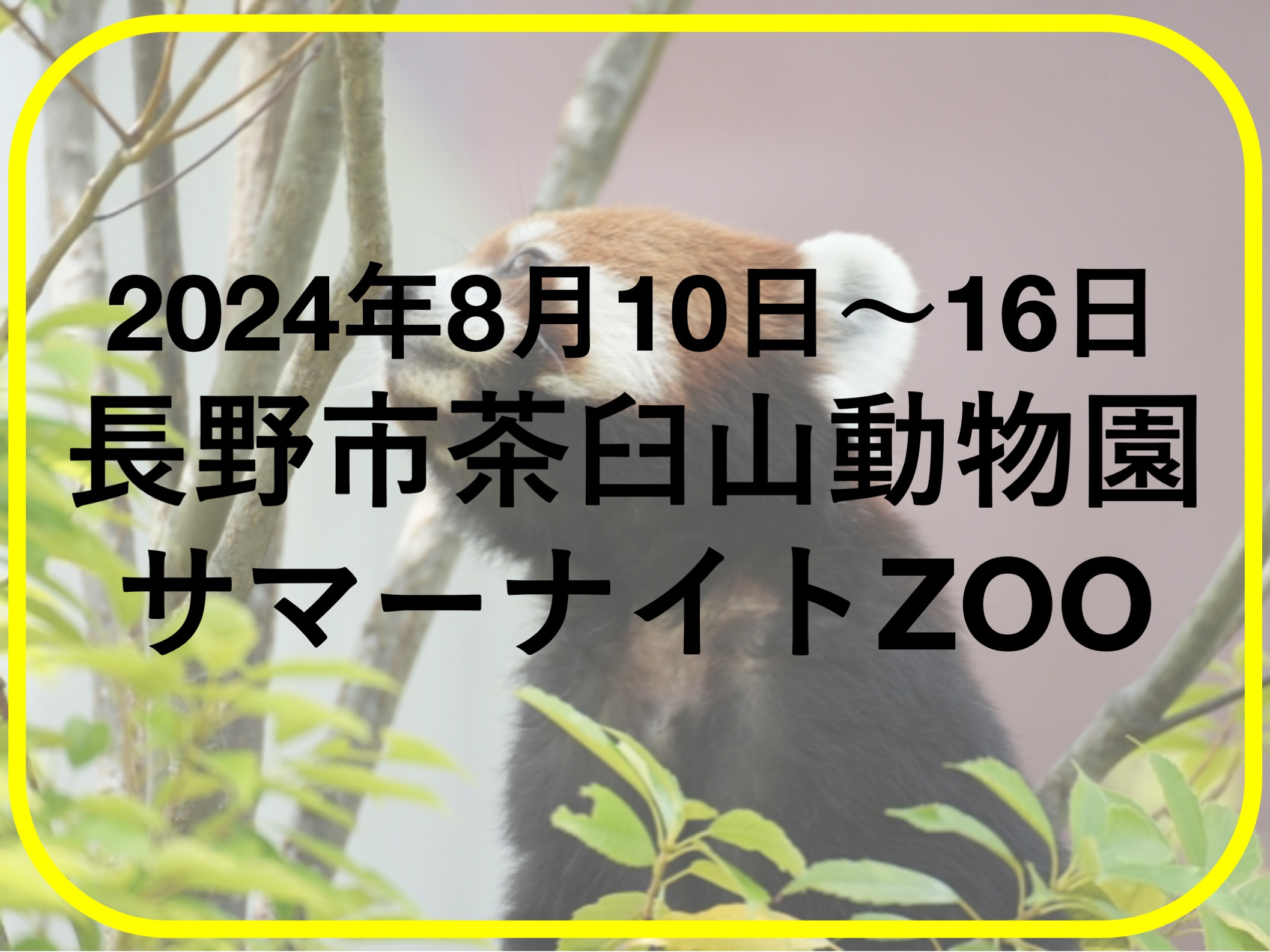 サマーナイトZOO