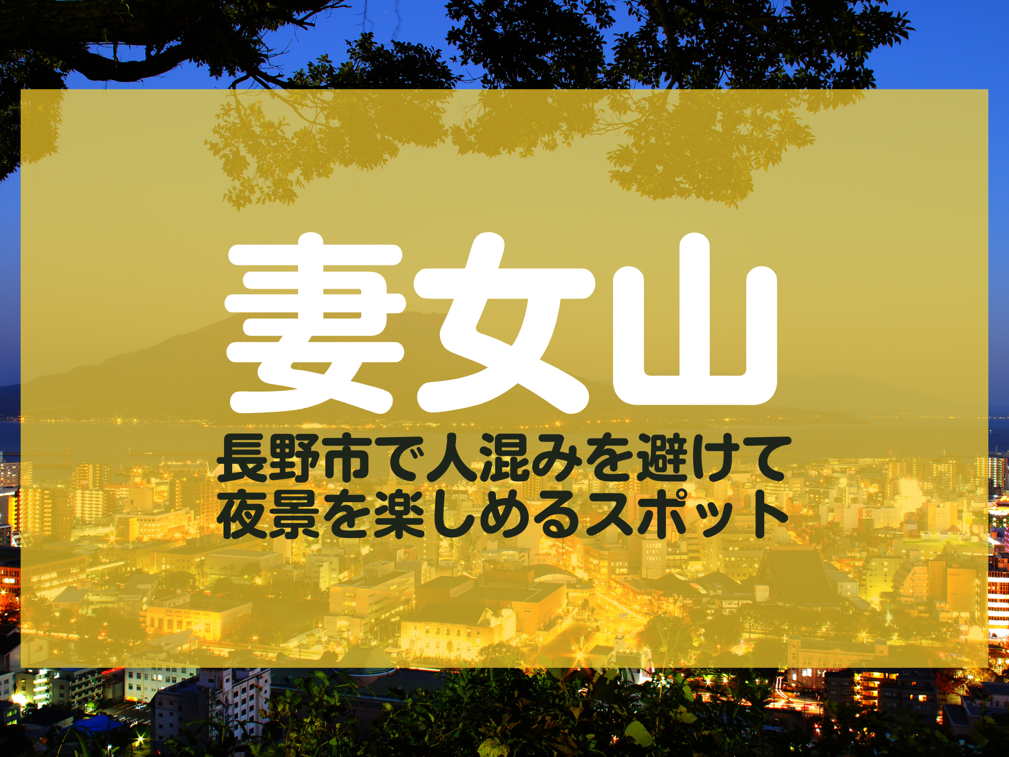 妻女山 長野市 夜景