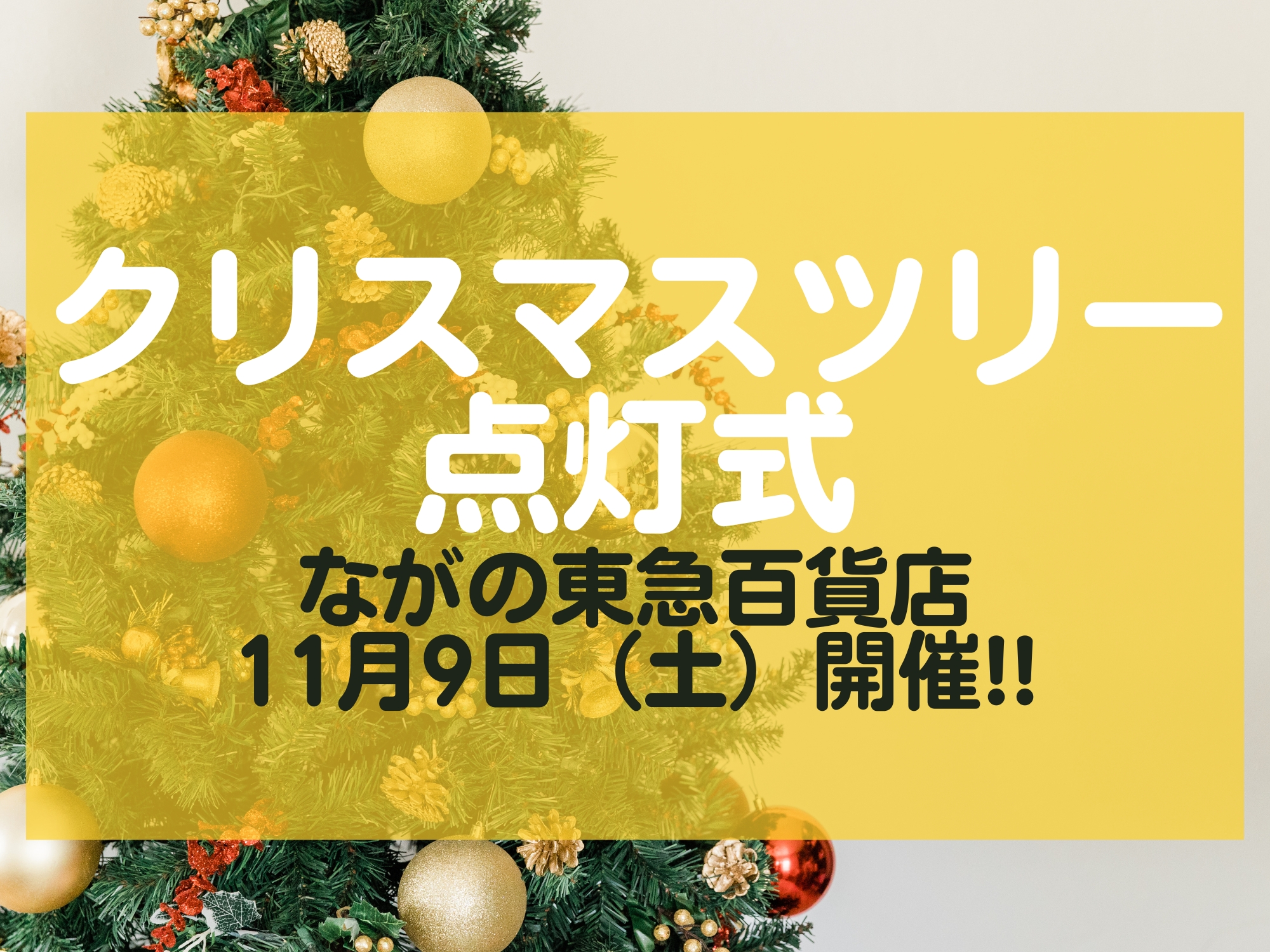 クリスマスツリー点灯式