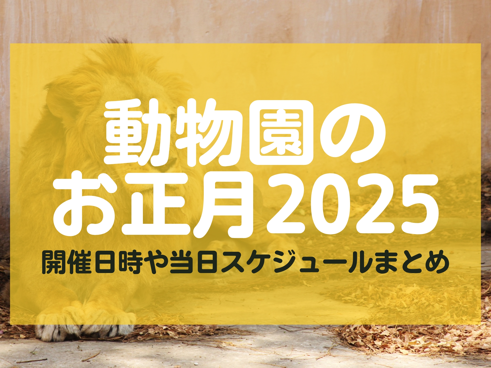 動物園のお正月2025