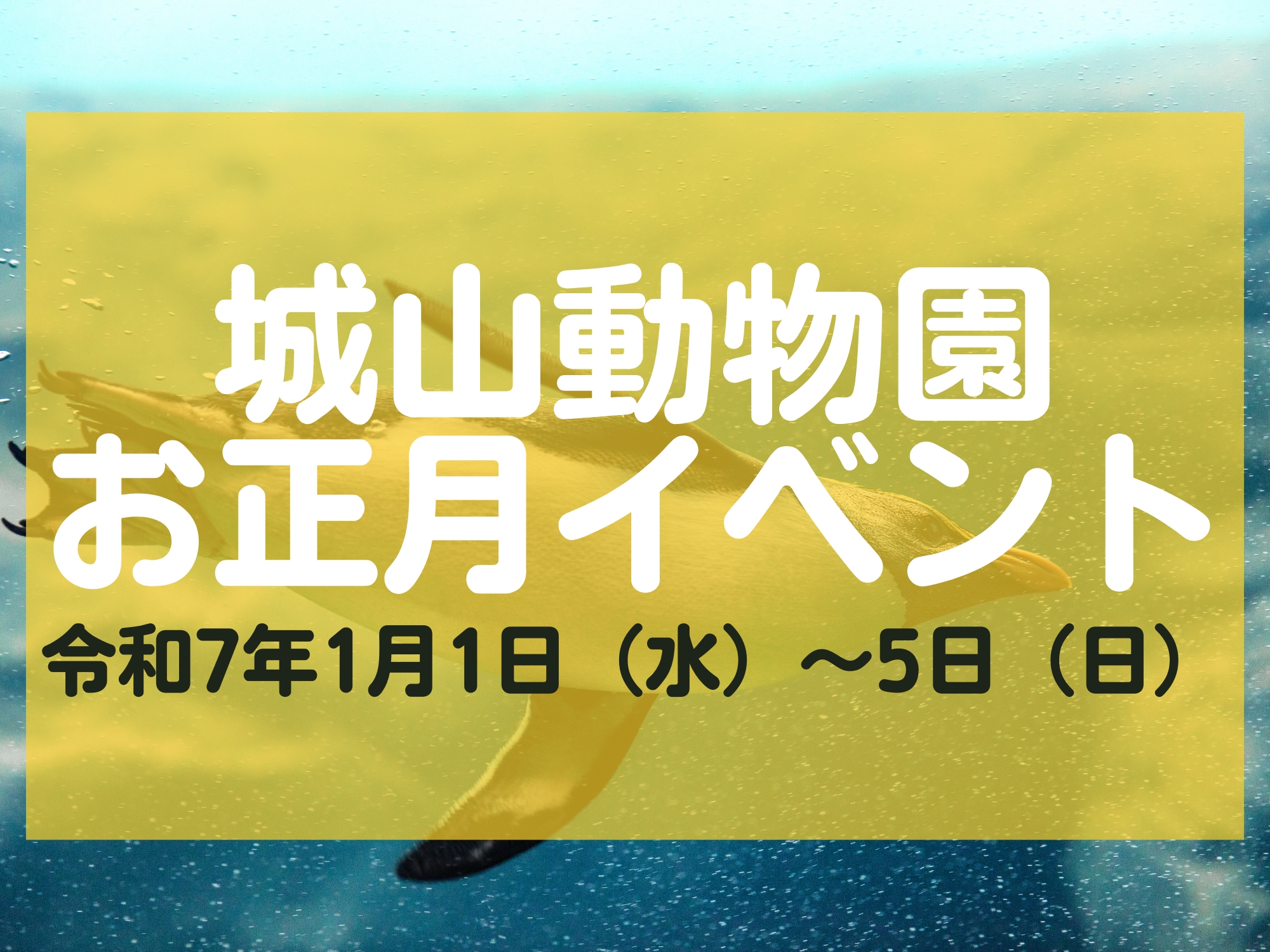 長野市城山動物園 お正月イベント