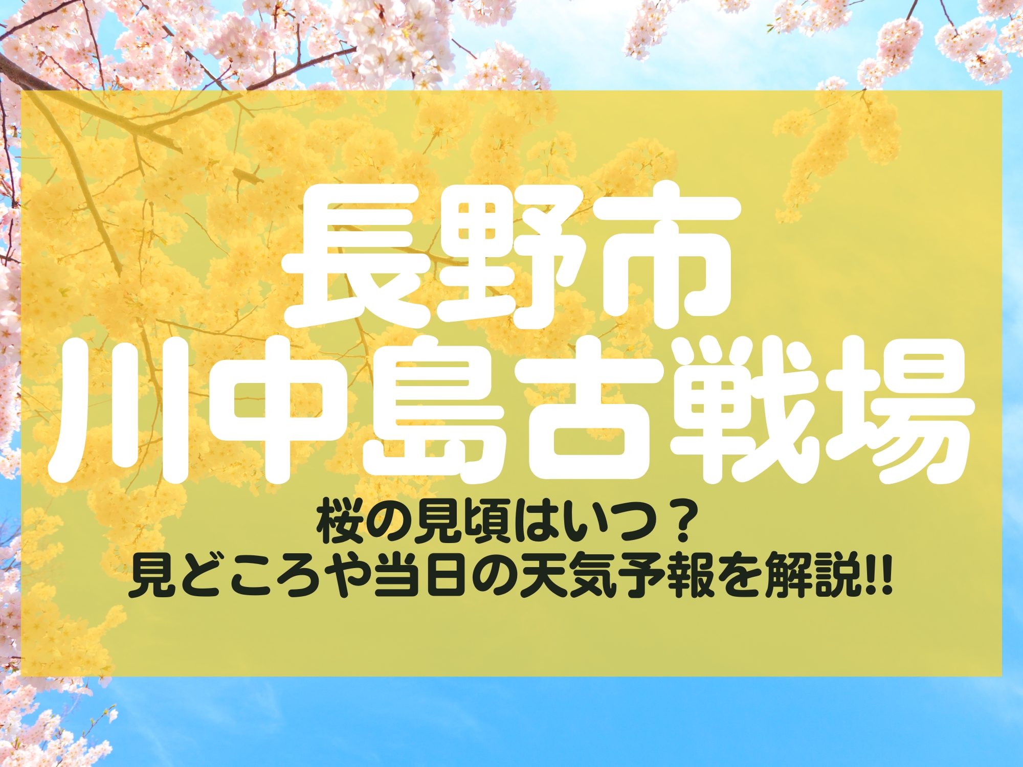 川中島古戦場 桜 見頃