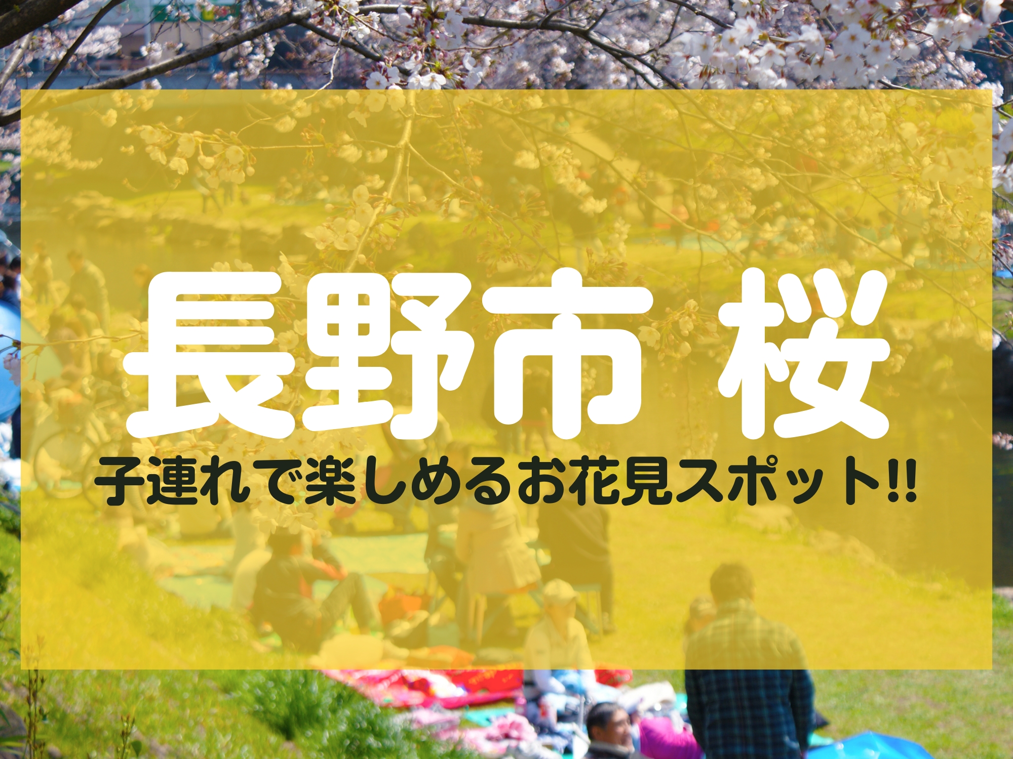 長野市 桜 子連れ お花見