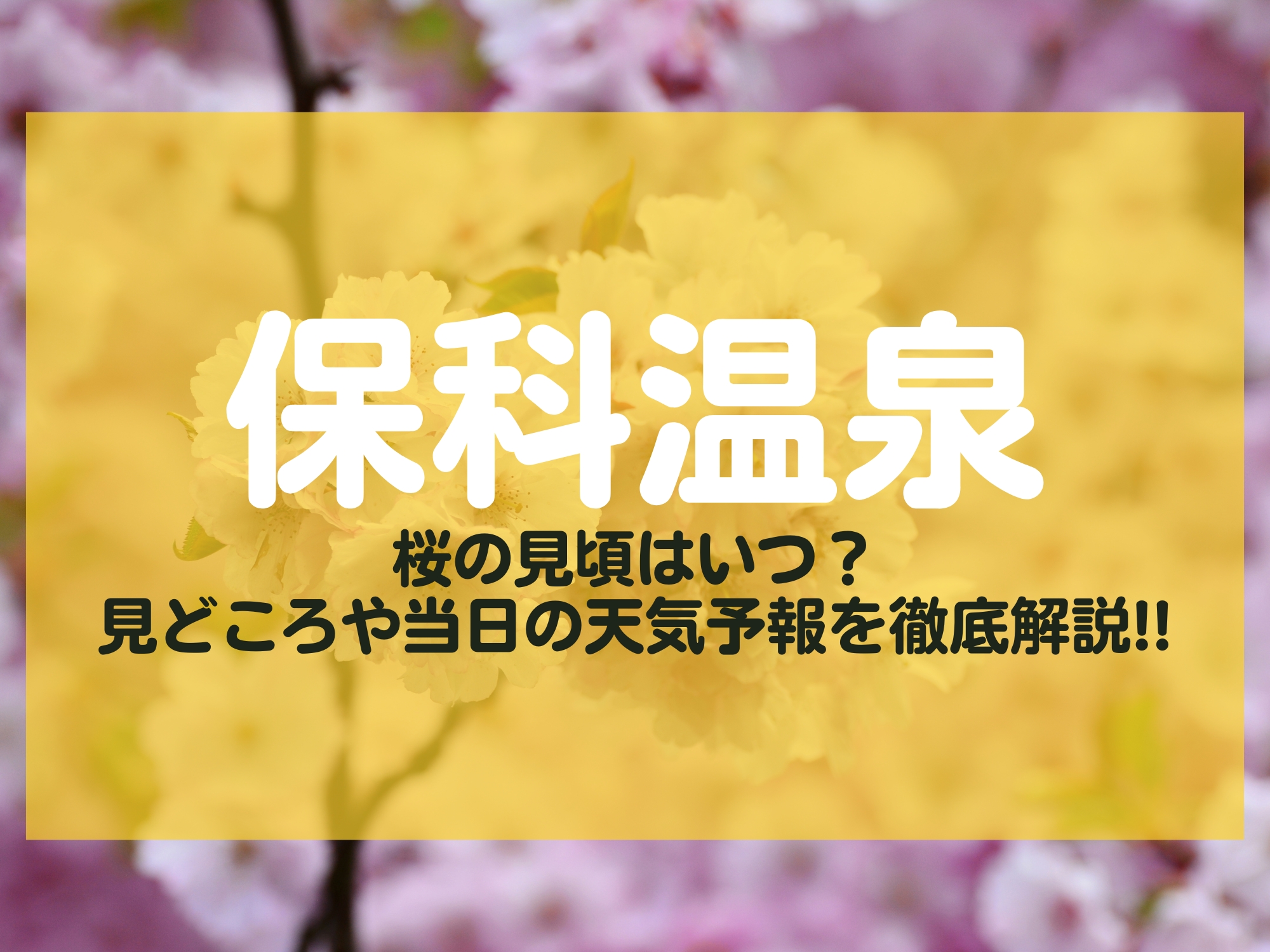 保科温泉 桜 長野市